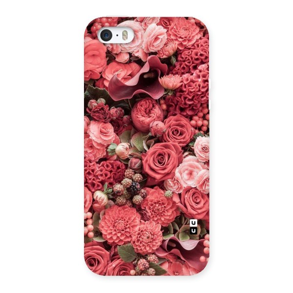 Shades Of Peach Back Case for iPhone 5 5S