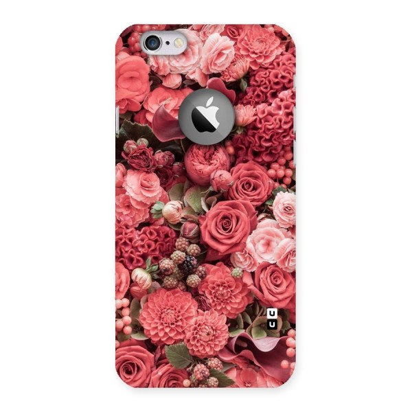 Shades Of Peach Back Case for iPhone 6 Logo Cut