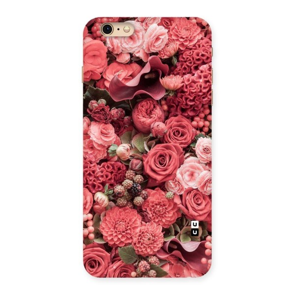 Shades Of Peach Back Case for iPhone 6 Plus 6S Plus