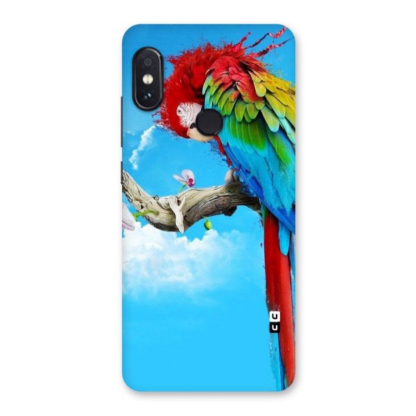 Sky Parrot Back Case for Redmi Note 5 Pro