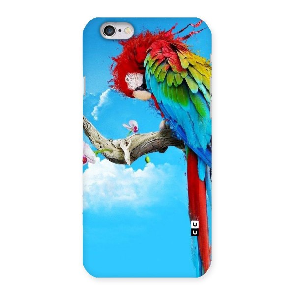 Sky Parrot Back Case for iPhone 6 6S