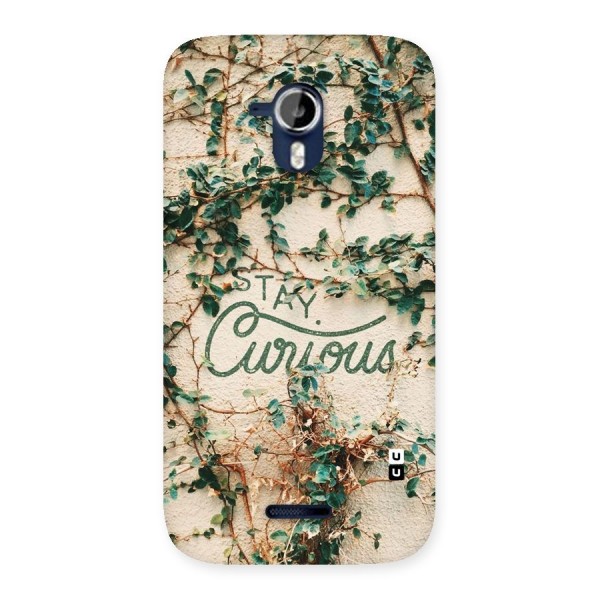 Stay Curious Back Case for Micromax Canvas Magnus A117