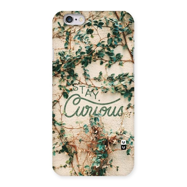 Stay Curious Back Case for iPhone 6 6S
