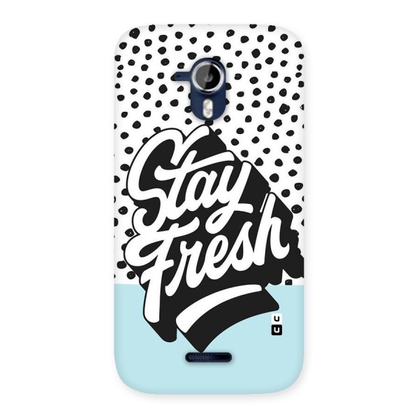 Stay Fresh Back Case for Micromax Canvas Magnus A117