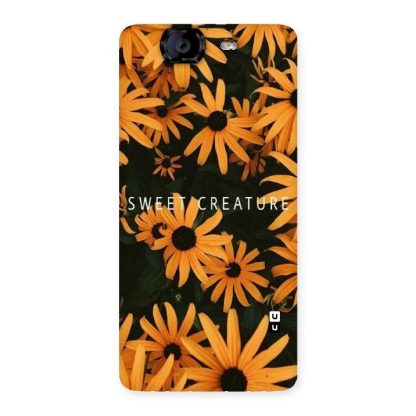 Sweet Creature Back Case for Canvas Knight A350