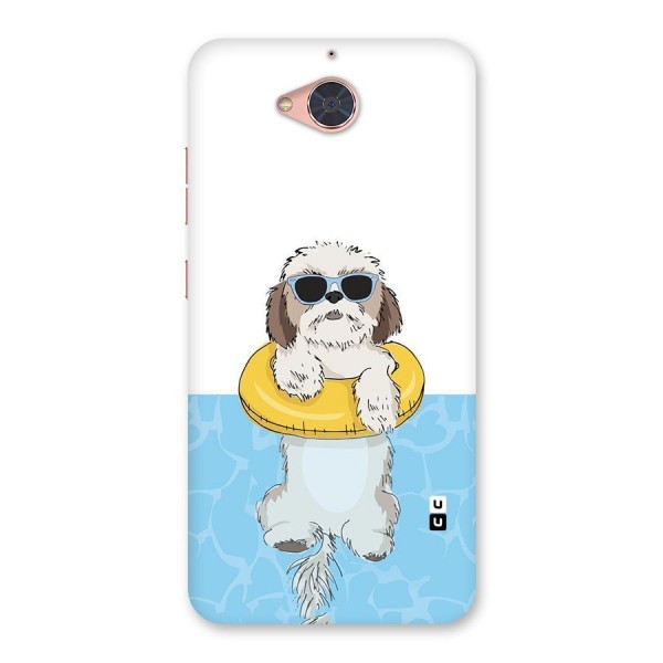 Swimming Doggo Back Case for Gionee S6 Pro