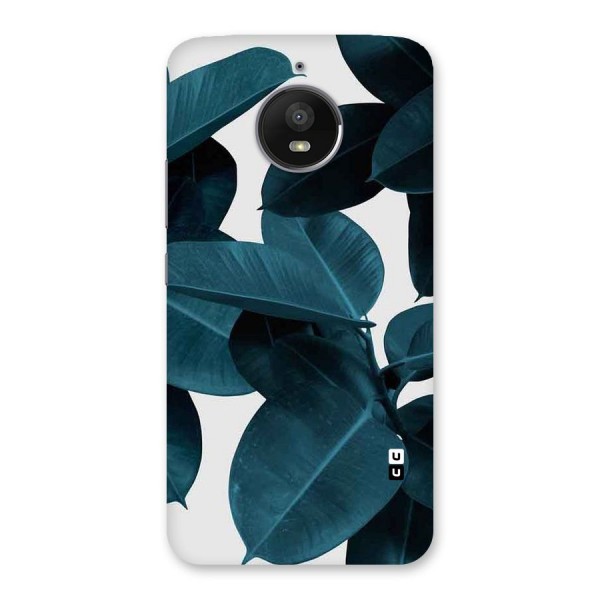 Very Aesthetic Leafs Back Case for Moto E4 Plus