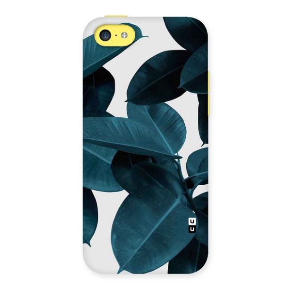 Very Aesthetic Leafs Back Case for iPhone 5C