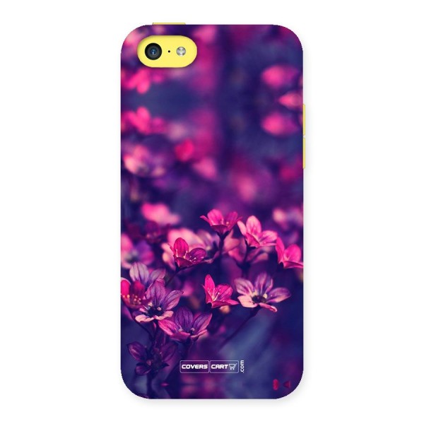 Violet Floral Back Case for iPhone 5C