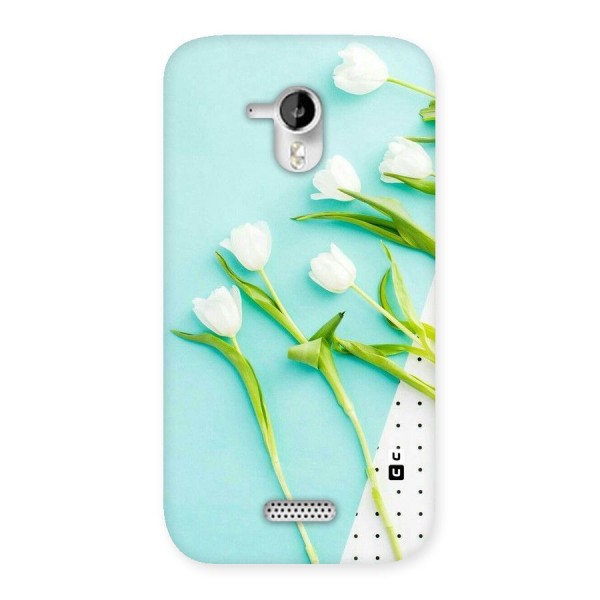 White Tulips Back Case for Micromax Canvas HD A116