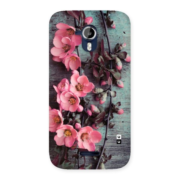 Wooden Floral Pink Back Case for Micromax Canvas Magnus A117