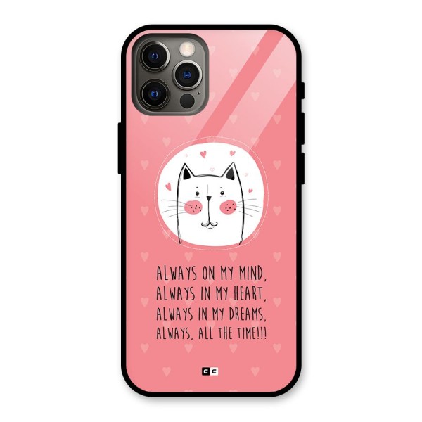 Always In Mind Back Case for iPhone 12 Pro