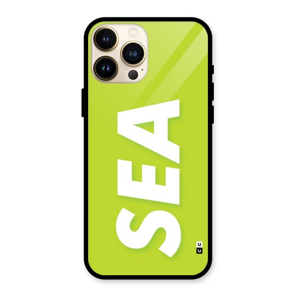 Amazing Sea Glass Back Case for iPhone 13 Pro Max