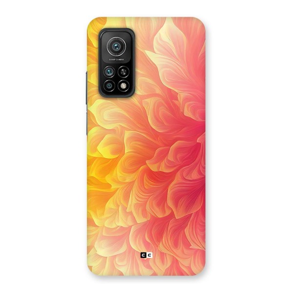 Amazing Vibrant Pattern Back Case for Mi 10T Pro 5G
