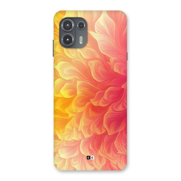 Amazing Vibrant Pattern Back Case for Motorola Edge 20 Fusion