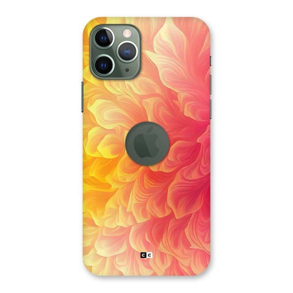 Amazing Vibrant Pattern Back Case for iPhone 11 Pro Logo Cut