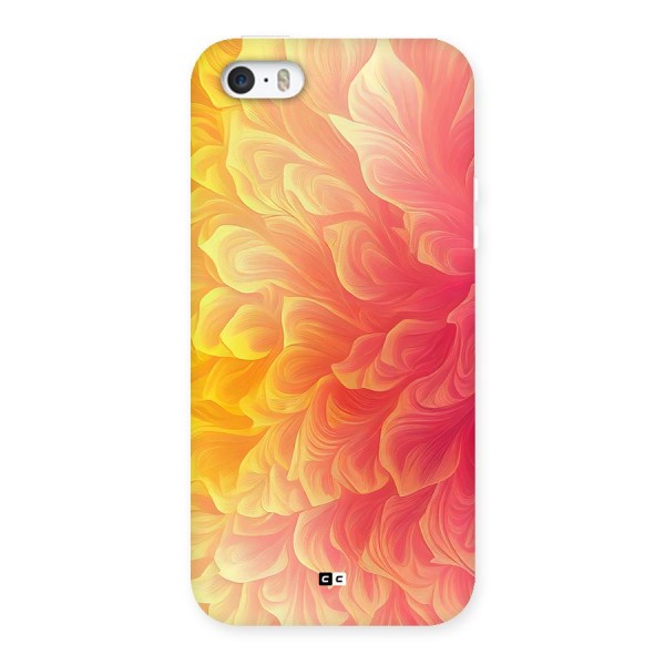 Amazing Vibrant Pattern Back Case for iPhone 5 5s