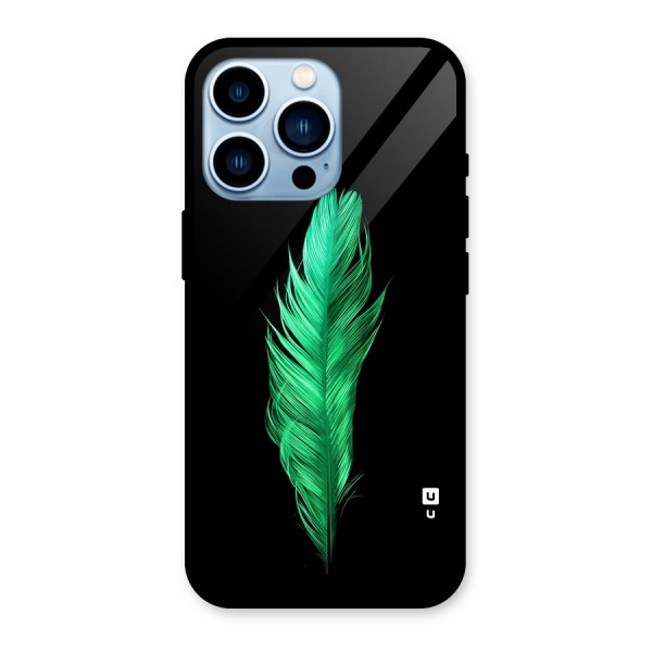Beautiful Green Feather Glass Back Case for iPhone 13 Pro