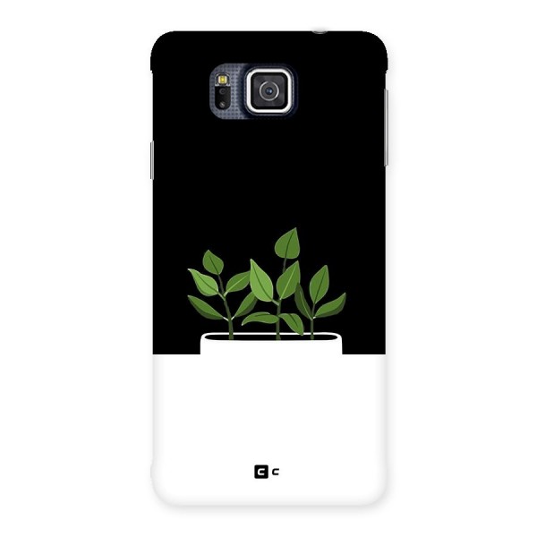 Beautiful Plant Pot Minimalistic Back Case for Galaxy Alpha