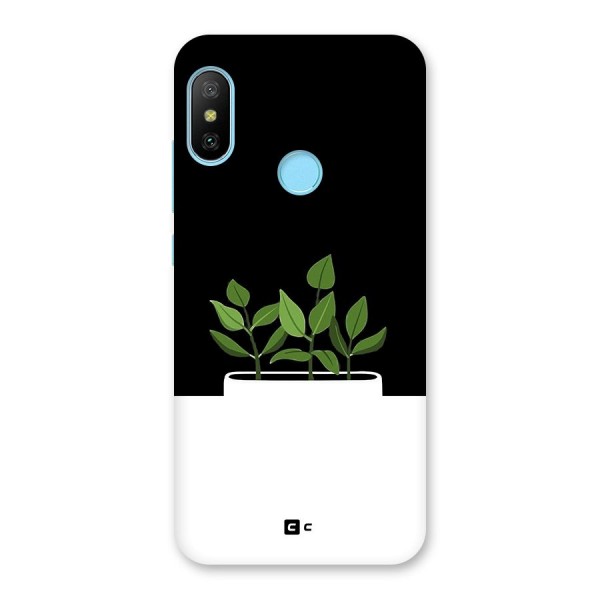 Beautiful Plant Pot Minimalistic Back Case for Redmi 6 Pro