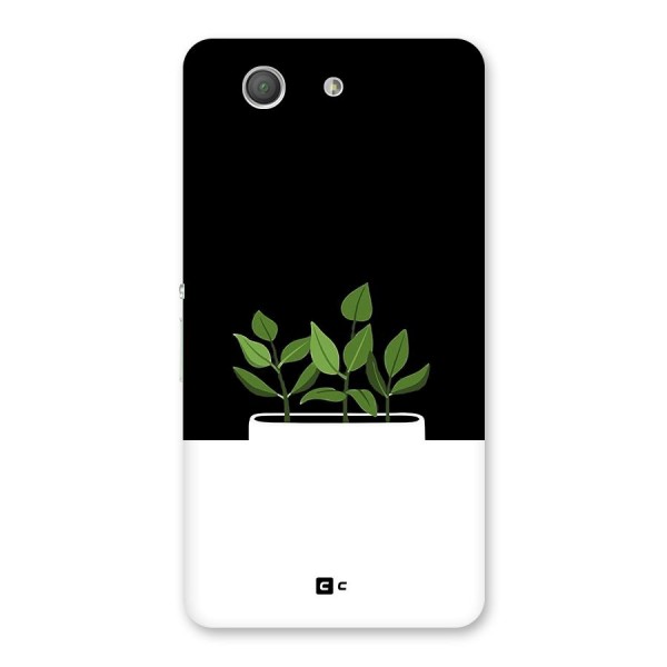Beautiful Plant Pot Minimalistic Back Case for Xperia Z3 Compact