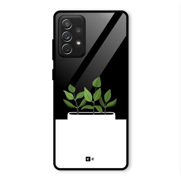 Beautiful Plant Pot Minimalistic Glass Back Case for Galaxy A72