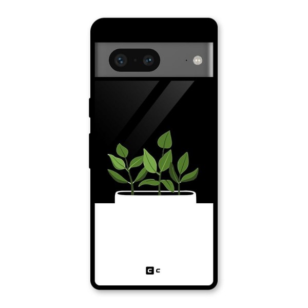 Beautiful Plant Pot Minimalistic Glass Back Case for Google Pixel 7