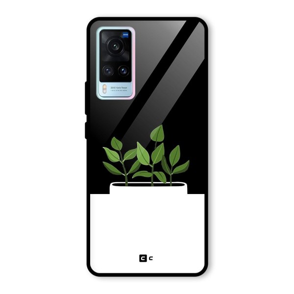 Beautiful Plant Pot Minimalistic Glass Back Case for Vivo X60