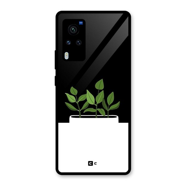 Beautiful Plant Pot Minimalistic Glass Back Case for Vivo X60 Pro