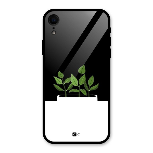 Beautiful Plant Pot Minimalistic Glass Back Case for iPhone XR