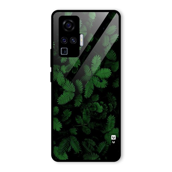 Beautiful Touch Me Not Glass Back Case for Vivo X50 Pro
