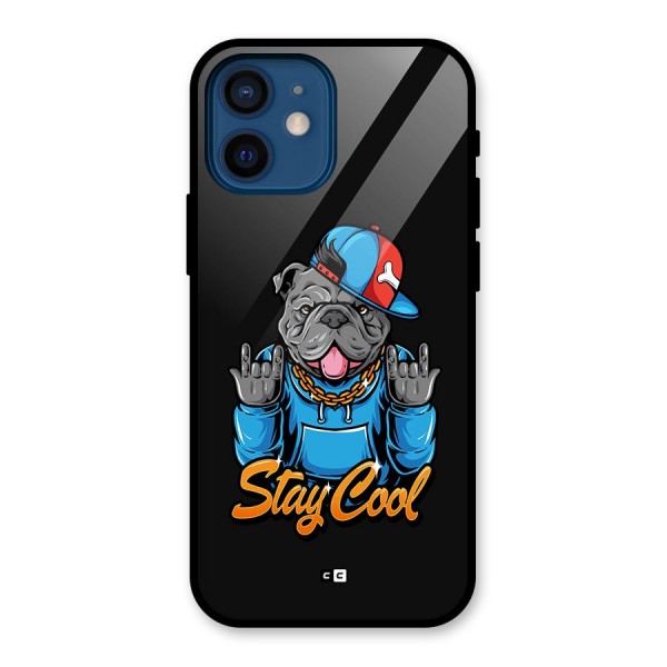 Chill Calm Cool Glass Back Case for iPhone 12 Mini