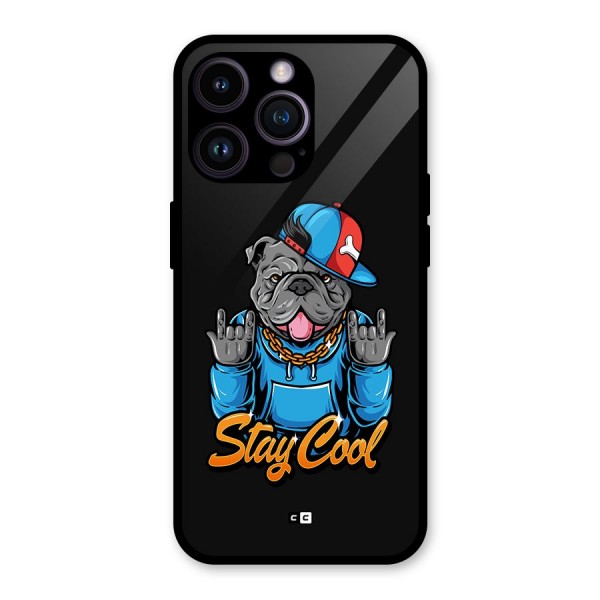 Chill Calm Cool Glass Back Case for iPhone 14 Pro Max