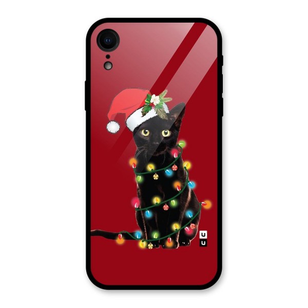 Christmas Cap Cute Cat Glass Back Case for iPhone XR
