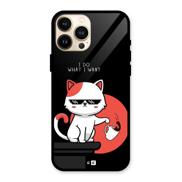 Cute Attitude Cat Glass Back Case for iPhone 13 Pro Max