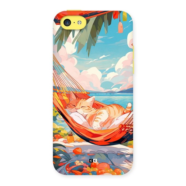 Cute Cat On Beach Back Case for iPhone 5C
