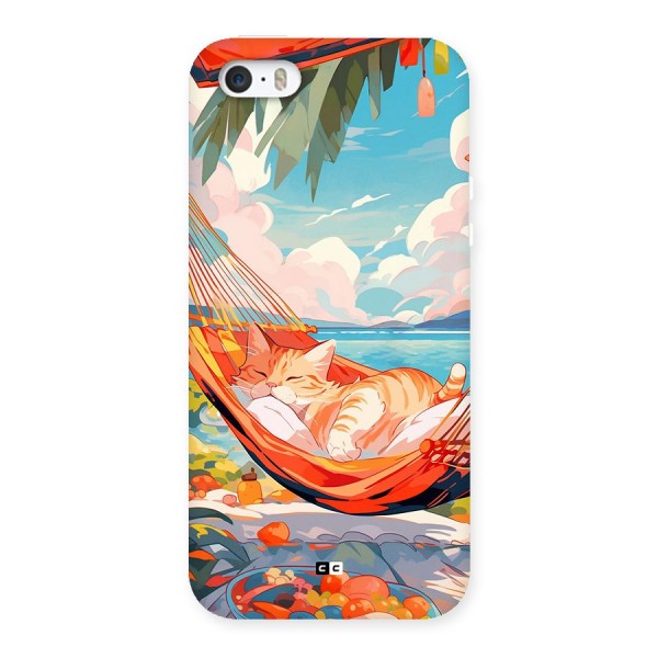 Cute Cat On Beach Back Case for iPhone 5 5s