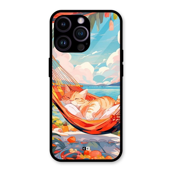 Cute Cat On Beach Glass Back Case for iPhone 14 Pro Max