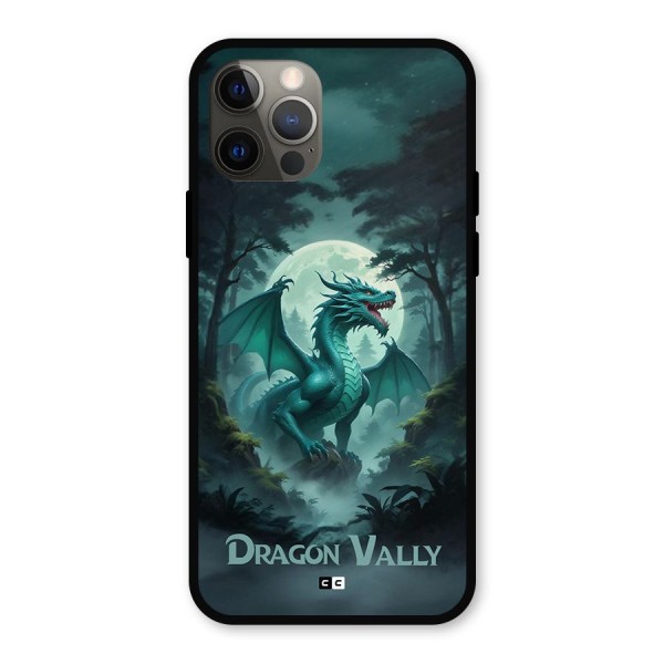 Dragon Valley Metal Back Case for iPhone 12 Pro