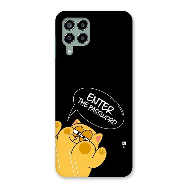 Enter The Password Back Case for Galaxy M33