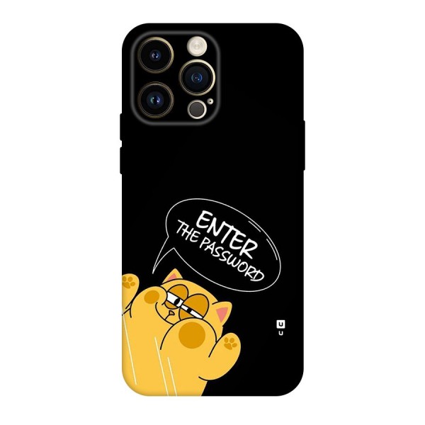 Enter The Password Back Case for iPhone 14 Pro Max
