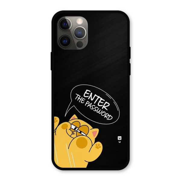 Enter The Password Metal Back Case for iPhone 12 Pro