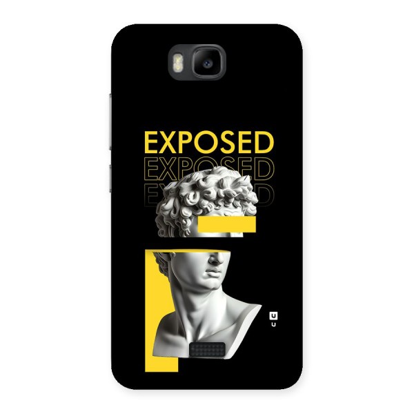 Exposed Sculpture Back Case for Honor Bee