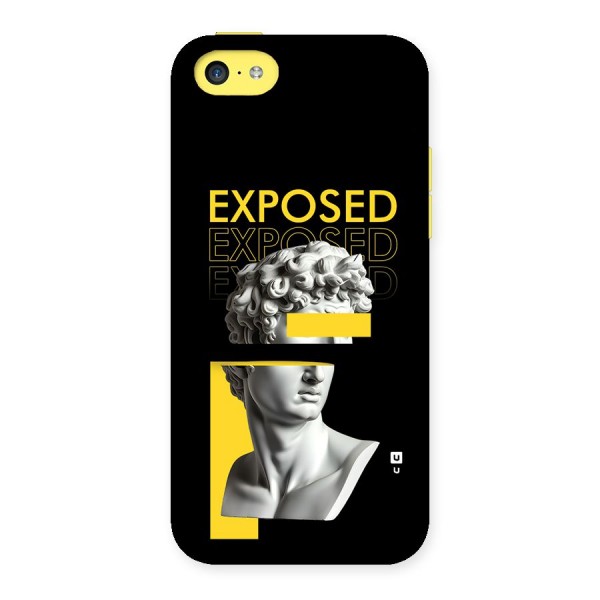 Exposed Sculpture Back Case for iPhone 5C