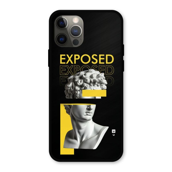 Exposed Sculpture Metal Back Case for iPhone 12 Pro