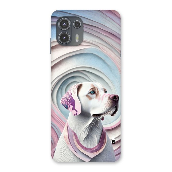 Eye Dog illustration Back Case for Motorola Edge 20 Fusion