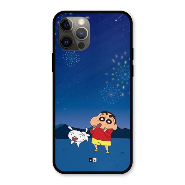 Festival Time Metal Back Case for iPhone 12 Pro