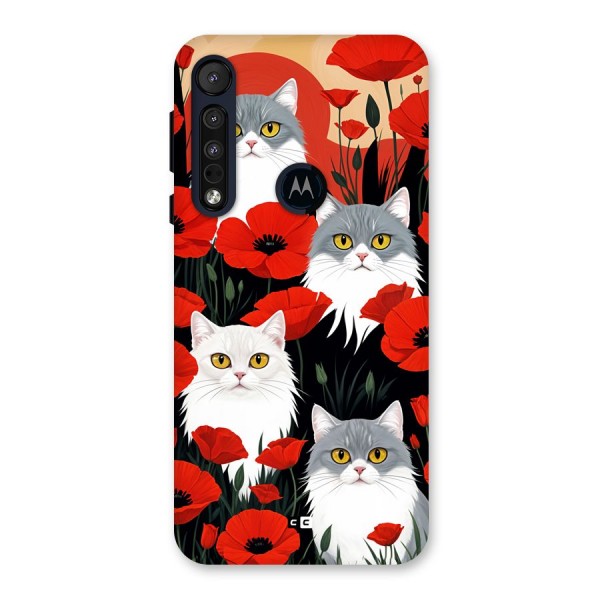Floral Cat Back Case for Motorola One Macro