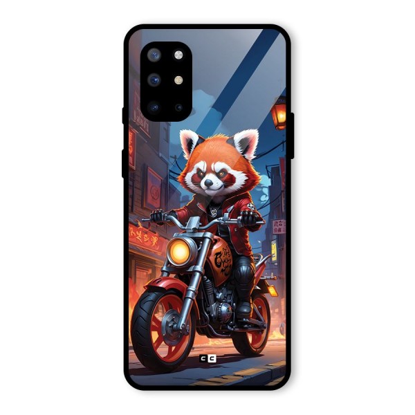 Fox Rider Glass Back Case for OnePlus 8T