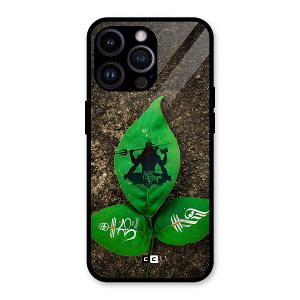 Green Leaf Shiva Glass Back Case for iPhone 14 Pro Max